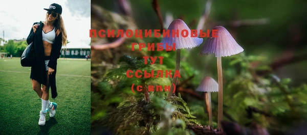 гашик Алзамай