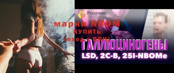 гашик Алзамай