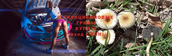 гашик Алзамай